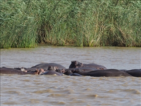 Hluhluwe River